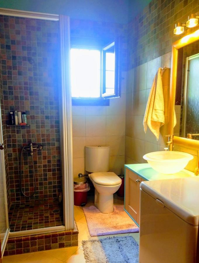 Mediterranean Garden Villa Vathí エクステリア 写真