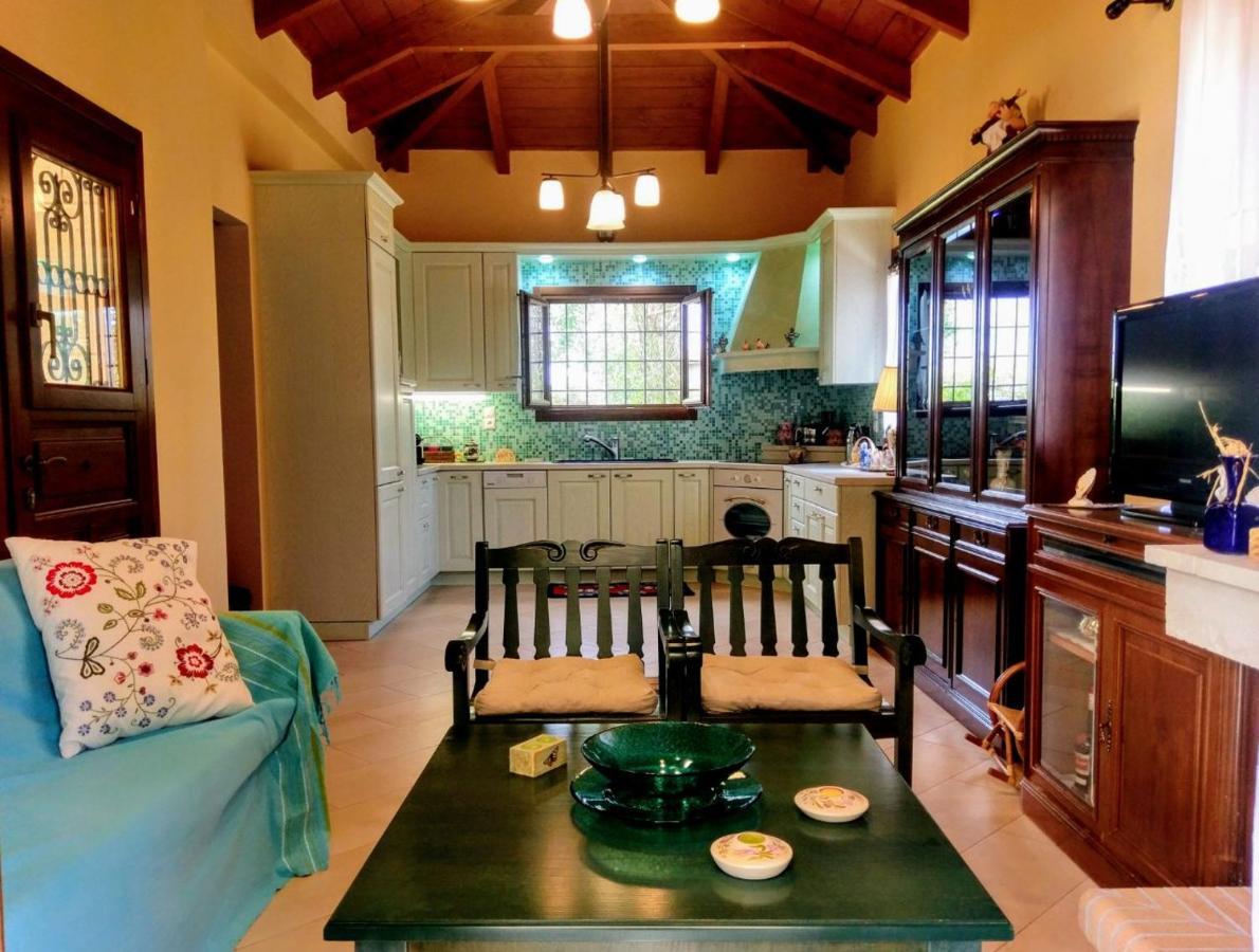 Mediterranean Garden Villa Vathí エクステリア 写真