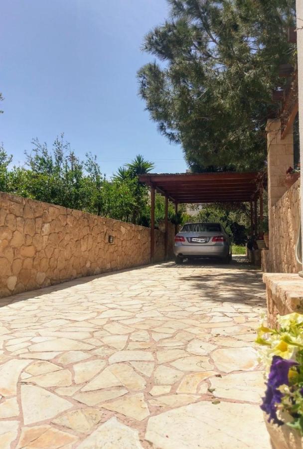 Mediterranean Garden Villa Vathí エクステリア 写真