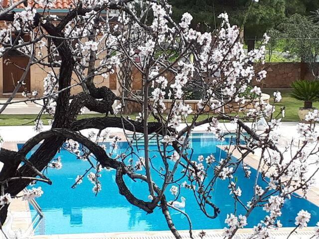 Mediterranean Garden Villa Vathí エクステリア 写真