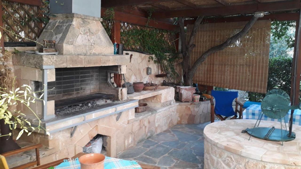 Mediterranean Garden Villa Vathí エクステリア 写真